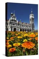 Spring Flowers and Railway Station, Dunedin, South Island, New Zealand-David Wall-Stretched Canvas