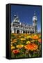 Spring Flowers and Railway Station, Dunedin, South Island, New Zealand-David Wall-Framed Stretched Canvas