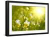 Spring Flowers Background-silver-john-Framed Photographic Print