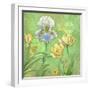 Spring Flowers II-Maria Rytova-Framed Giclee Print