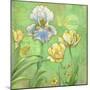 Spring Flowers II-Maria Rytova-Mounted Giclee Print