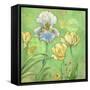 Spring Flowers II-Maria Rytova-Framed Stretched Canvas