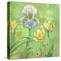 Spring Flowers II-Maria Rytova-Stretched Canvas