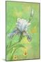 Spring Flowers III-Maria Rytova-Mounted Giclee Print