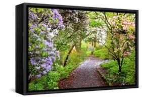 Spring Flowers in Crystal Springs Rhododendron Garden, Portland, Oregon, USA-Craig Tuttle-Framed Stretched Canvas