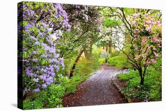 Spring Flowers in Crystal Springs Rhododendron Garden, Portland, Oregon, USA-Craig Tuttle-Stretched Canvas