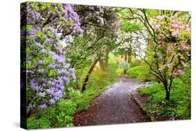 Spring Flowers in Crystal Springs Rhododendron Garden, Portland, Oregon, USA-Craig Tuttle-Stretched Canvas