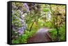 Spring Flowers in Crystal Springs Rhododendron Garden, Portland, Oregon, USA-Craig Tuttle-Framed Stretched Canvas