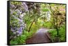 Spring Flowers in Crystal Springs Rhododendron Garden, Portland, Oregon, USA-Craig Tuttle-Framed Stretched Canvas