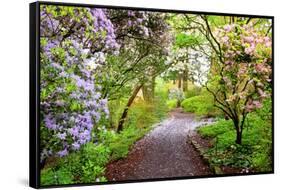 Spring Flowers in Crystal Springs Rhododendron Garden, Portland, Oregon, USA-Craig Tuttle-Framed Stretched Canvas