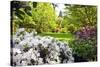 Spring Flowers in Crystal Springs Rhododendron Garden, Portland, Oregon, USA-Craig Tuttle-Stretched Canvas