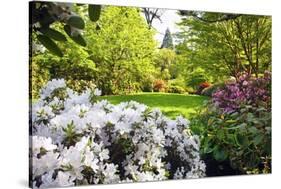 Spring Flowers in Crystal Springs Rhododendron Garden, Portland, Oregon, USA-Craig Tuttle-Stretched Canvas