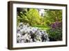 Spring Flowers in Crystal Springs Rhododendron Garden, Portland, Oregon, USA-Craig Tuttle-Framed Photographic Print