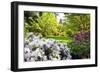 Spring Flowers in Crystal Springs Rhododendron Garden, Portland, Oregon, USA-Craig Tuttle-Framed Photographic Print