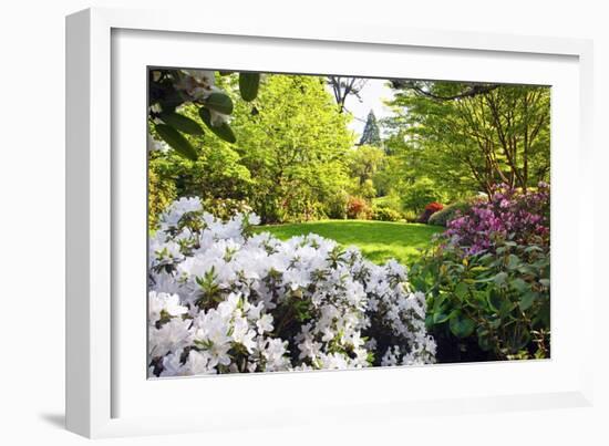 Spring Flowers in Crystal Springs Rhododendron Garden, Portland, Oregon, USA-Craig Tuttle-Framed Photographic Print