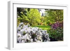 Spring Flowers in Crystal Springs Rhododendron Garden, Portland, Oregon, USA-Craig Tuttle-Framed Photographic Print