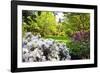 Spring Flowers in Crystal Springs Rhododendron Garden, Portland, Oregon, USA-Craig Tuttle-Framed Photographic Print