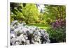 Spring Flowers in Crystal Springs Rhododendron Garden, Portland, Oregon, USA-Craig Tuttle-Framed Photographic Print