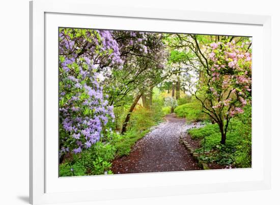 Spring Flowers in Crystal Springs Rhododendron Garden, Portland, Oregon, USA-Craig Tuttle-Framed Photographic Print