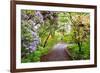 Spring Flowers in Crystal Springs Rhododendron Garden, Portland, Oregon, USA-Craig Tuttle-Framed Photographic Print