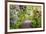 Spring Flowers in Crystal Springs Rhododendron Garden, Portland, Oregon, USA-Craig Tuttle-Framed Photographic Print