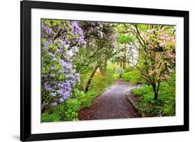 Spring Flowers in Crystal Springs Rhododendron Garden, Portland, Oregon, USA-Craig Tuttle-Framed Photographic Print