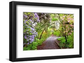 Spring Flowers in Crystal Springs Rhododendron Garden, Portland, Oregon, USA-Craig Tuttle-Framed Photographic Print