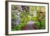 Spring Flowers in Crystal Springs Rhododendron Garden, Portland, Oregon, USA-Craig Tuttle-Framed Photographic Print