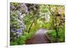 Spring Flowers in Crystal Springs Rhododendron Garden, Portland, Oregon, USA-Craig Tuttle-Framed Photographic Print