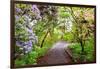 Spring Flowers in Crystal Springs Rhododendron Garden, Portland, Oregon, USA-Craig Tuttle-Framed Photographic Print