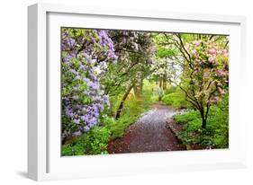 Spring Flowers in Crystal Springs Rhododendron Garden, Portland, Oregon, USA-Craig Tuttle-Framed Photographic Print