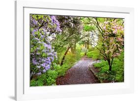 Spring Flowers in Crystal Springs Rhododendron Garden, Portland, Oregon, USA-Craig Tuttle-Framed Photographic Print