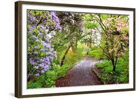Spring Flowers in Crystal Springs Rhododendron Garden, Portland, Oregon, USA-Craig Tuttle-Framed Photographic Print