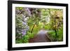 Spring Flowers in Crystal Springs Rhododendron Garden, Portland, Oregon, USA-Craig Tuttle-Framed Photographic Print