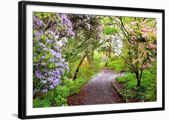 Spring Flowers in Crystal Springs Rhododendron Garden, Portland, Oregon, USA-Craig Tuttle-Framed Photographic Print