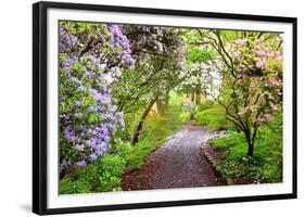 Spring Flowers in Crystal Springs Rhododendron Garden, Portland, Oregon, USA-Craig Tuttle-Framed Photographic Print