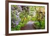 Spring Flowers in Crystal Springs Rhododendron Garden, Portland, Oregon, USA-Craig Tuttle-Framed Photographic Print