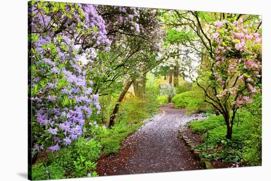 Spring Flowers in Crystal Springs Rhododendron Garden, Portland, Oregon, USA-Craig Tuttle-Stretched Canvas