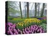 Spring Flowers in Flower Garden-Jim Zuckerman-Stretched Canvas