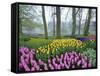 Spring Flowers in Flower Garden-Jim Zuckerman-Framed Stretched Canvas
