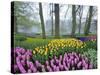 Spring Flowers in Flower Garden-Jim Zuckerman-Stretched Canvas