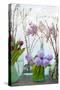 Spring Flowers in Glass Bottles V-Cora Niele-Stretched Canvas