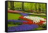 Spring Flowers in Holland Garden-neirfy-Framed Stretched Canvas