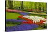 Spring Flowers in Holland Garden-neirfy-Stretched Canvas