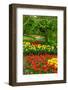 Spring Flowers in Holland Garden-neirfy-Framed Photographic Print