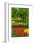 Spring Flowers in Holland Garden-neirfy-Framed Photographic Print