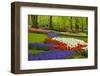 Spring Flowers in Holland Garden-neirfy-Framed Photographic Print