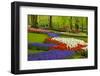 Spring Flowers in Holland Garden-neirfy-Framed Photographic Print