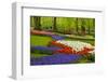 Spring Flowers in Holland Garden-neirfy-Framed Photographic Print