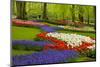 Spring Flowers in Holland Garden-neirfy-Mounted Photographic Print